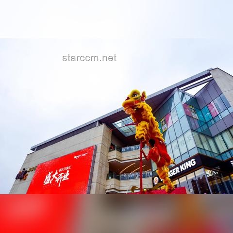 男子贷款350万深陷威尔仕办卡陷阱：如何识破健身行业消费欺诈？